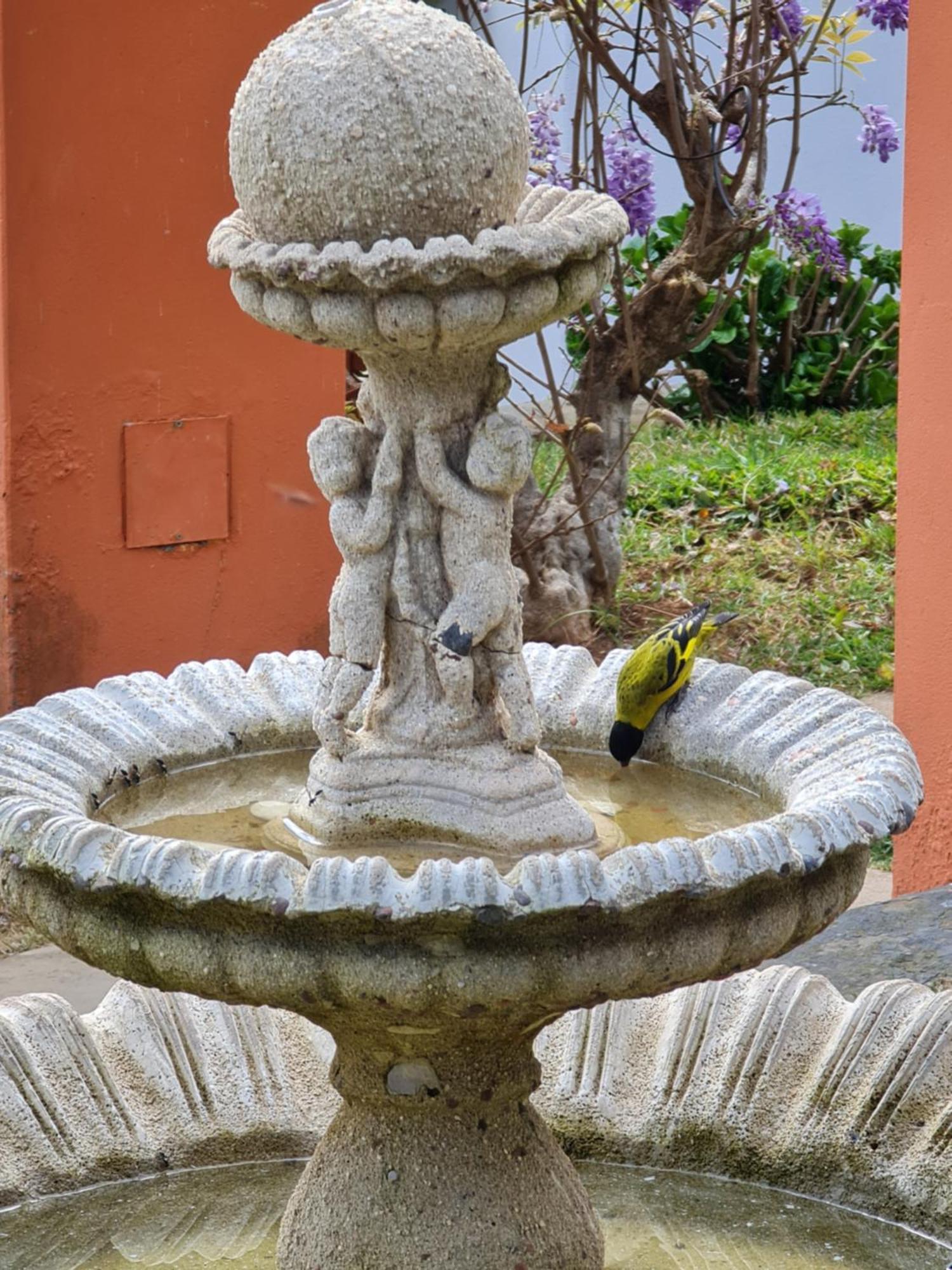 Chales Valle Florido Monte Verde  Exterior foto